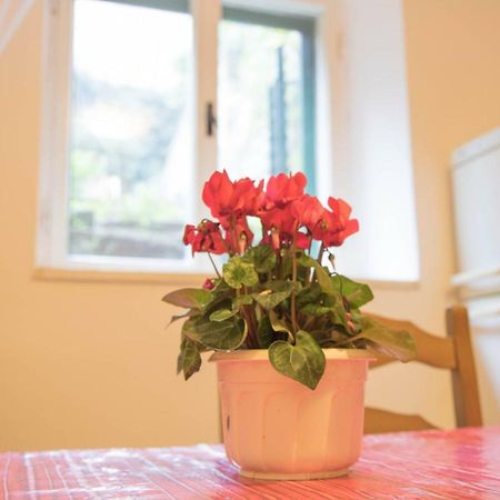 Apartman Juricic Labin  Extérieur photo