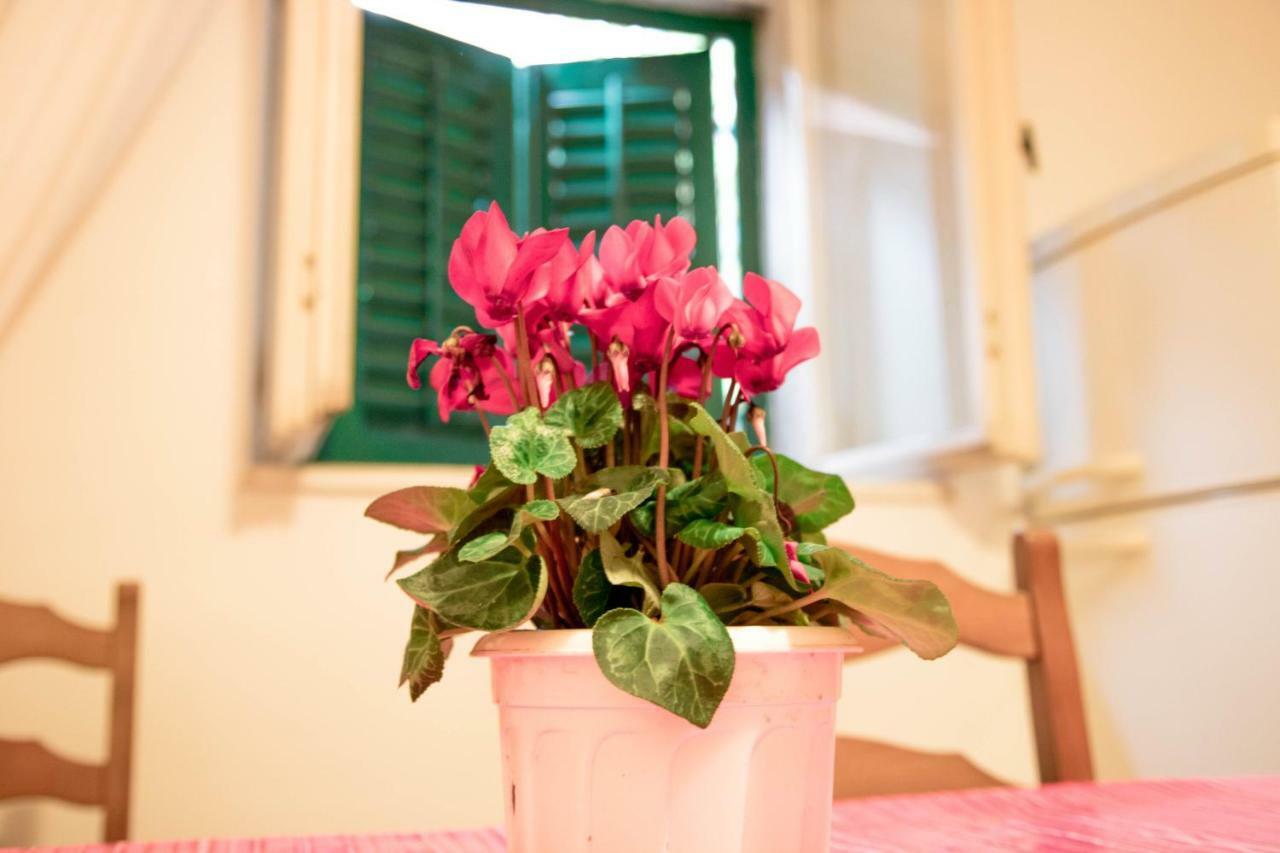 Apartman Juricic Labin  Extérieur photo